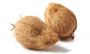 Coconut