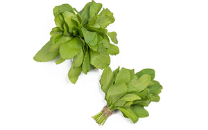 Baby Spinach