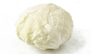 Cabbage