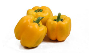 Yellow Capsicum - Gourmet Garden