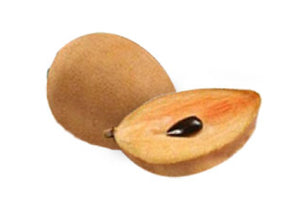 Chiku (Sapota)