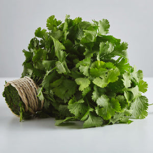 Coriander (Root cut)