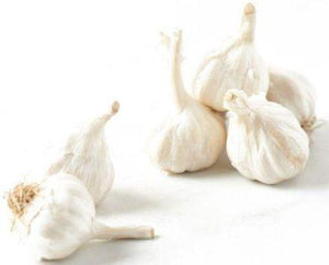 Garlic