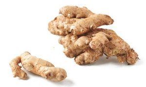 Ginger
