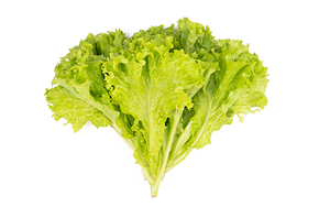 Leafy Lettuce