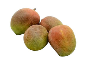 Mango - Sindhuri