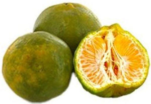 Nagpur Orange