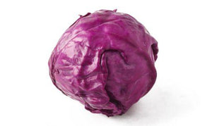 Purple Cabbage