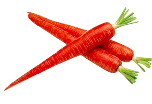 Red Carrot