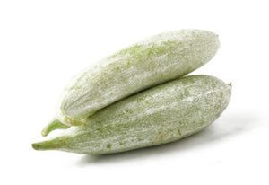 Snake Gourd