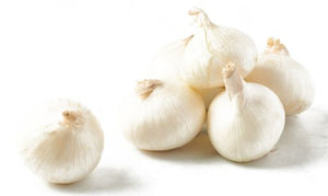 White Onion