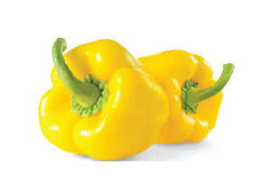 Yellow Capsicum