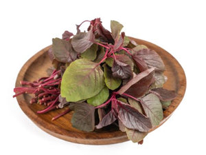 Red Amaranthus (Root-cut)
