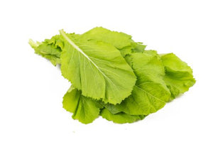 Asian Green Mustard