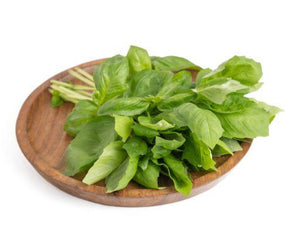 Italian Basil