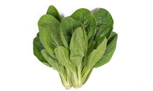 Bok Choy - Gourmet Garden