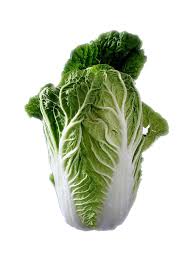 Chinese Cabbage - Gourmet Garden