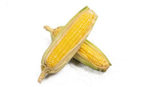 Sweet Corn