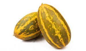 Malabar Cucumber