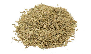 Fennel (Saunf) - Nilgiris - Gourmet Garden
