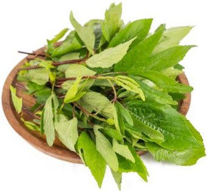 Gongura Leaves