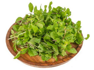 Mint (Root-cut)