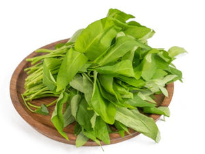 Morning Glory (Kang Kong)