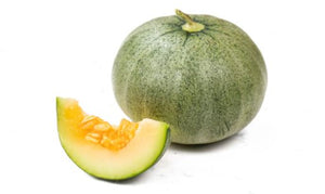 Line Musk Melon - Gourmet Garden
