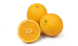 Orange - Valencia - Gourmet Garden