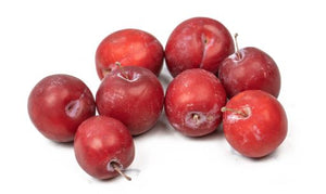 Plum - Gourmet Garden