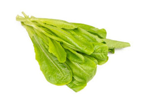 Romaine Lettuce