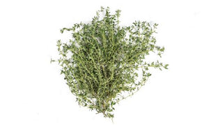 Thyme - Gourmet Garden