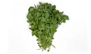 Watercress - Gourmet Garden